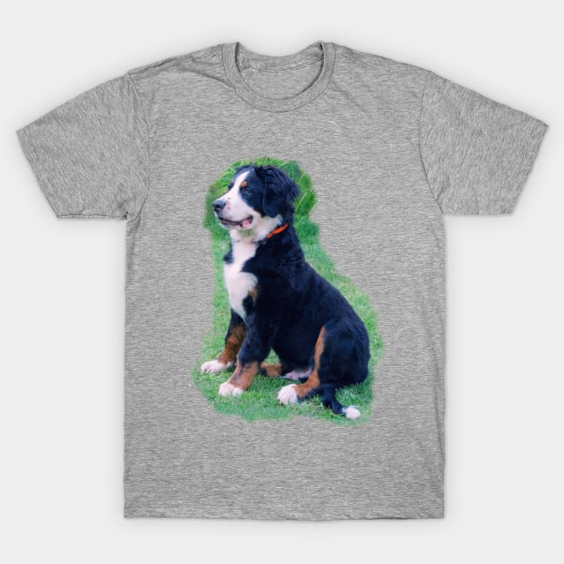 Bernese Mountain Dog T-Shirt by MarionsArt